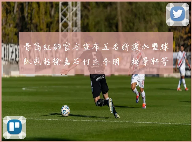 青岛红狮官方宣布五名新援加盟球队包括徐嘉石付杰李明璠梅景轩等球员
