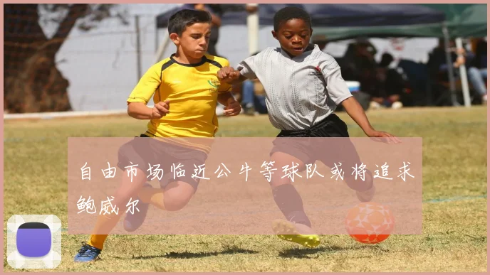 自由市场临近公牛等球队或将追求鲍威尔